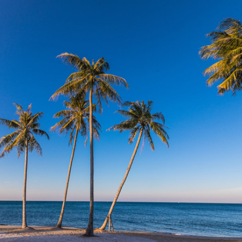 regent residences phu quoc