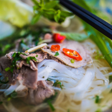 vietnam tourism